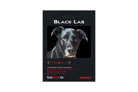 Audioquest Black Lab - przewód 1xRCA/1xRCA do subwoofera o długości 3 m