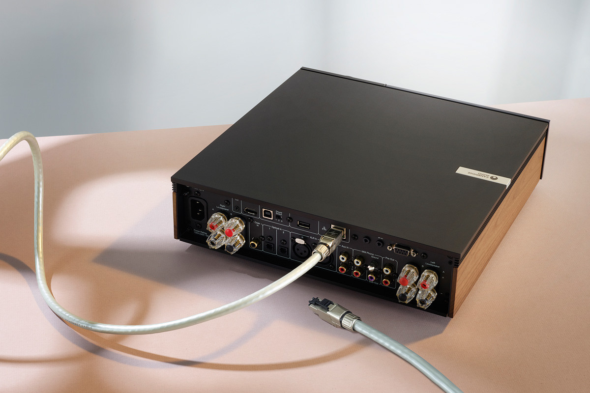 QED Reference Ethernet - przewód typu patchcord RJ45/RJ45 o długości 5 m