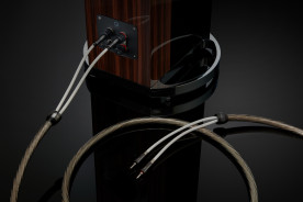 QED Signature Supremus Zr - kabel głośnikowy | konfekcjonowany 2x 2 m