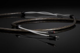 QED Signature Supremus Zr - kabel głośnikowy | konfekcjonowany 2x 3 m