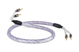 QED Signature Genesis Silver Spiral - kabel głośnikowy | konfekcjonowany 2x 2,5 m