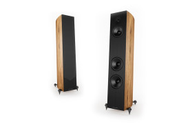 Acoustic Energy Corinium Tectona - kolumny podłogowe