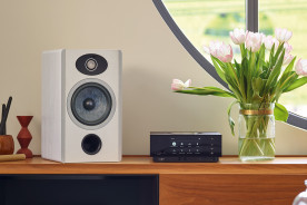 Focal Vestia N°1 Dark Wood - kolumny podstawkowe