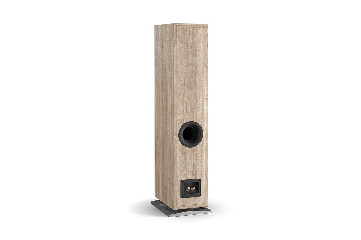 Dali Oberon 5 Light Oak - kolumny podłogowe