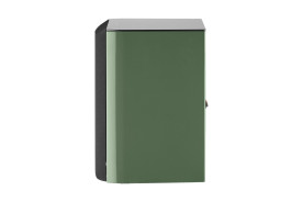 Focal Aria EVO X Nº1 Moss Green High Gloss - kolumny podstawkowe