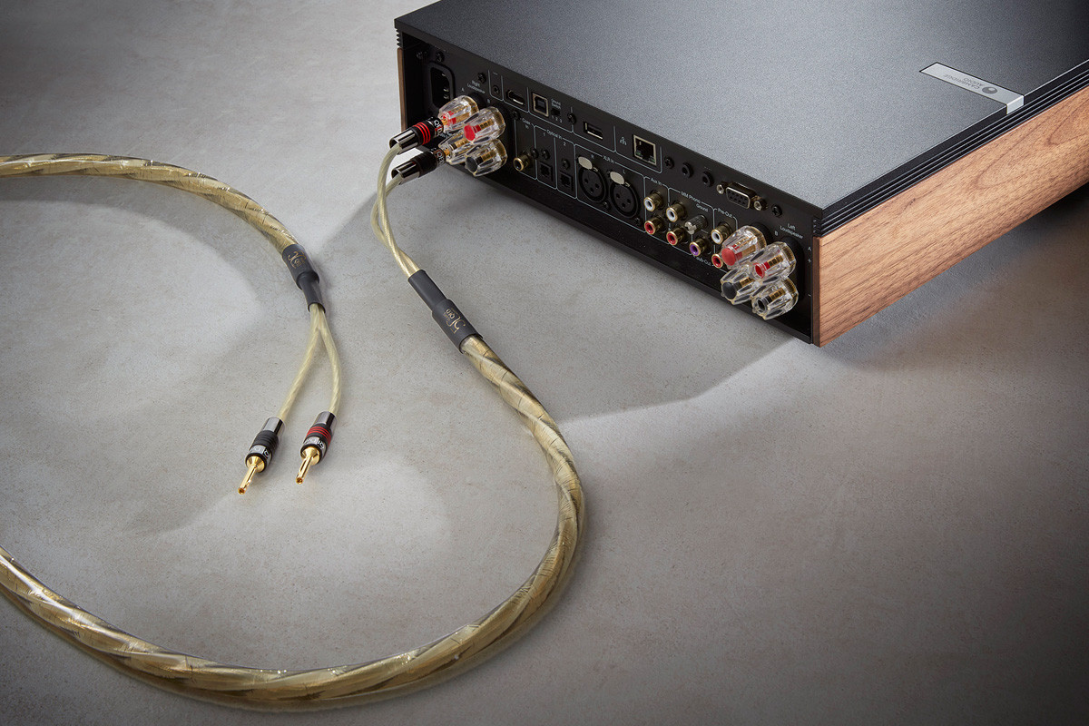 QED Reference Golden Anniversary XT - kabel głośnikowy | konfekcjonowany 2x 2,5 m