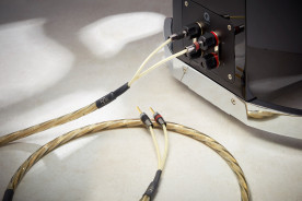 QED Reference Golden Anniversary XT - kabel głośnikowy | konfekcjonowany 2x 2,5 m