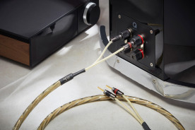 QED Reference Golden Anniversary XT - kabel głośnikowy | konfekcjonowany 2x 2,5 m