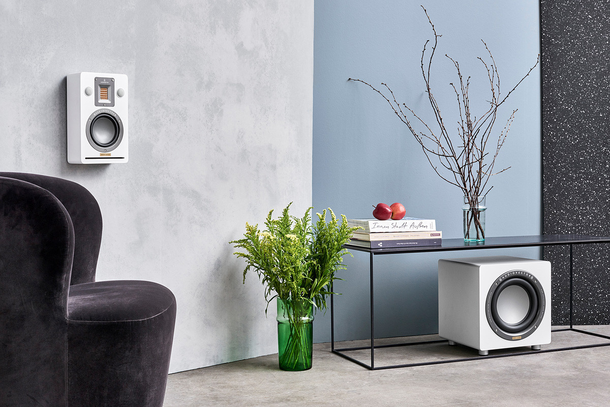 Audiovector QR Wall SE Dark Walnut - kolumna ścienna